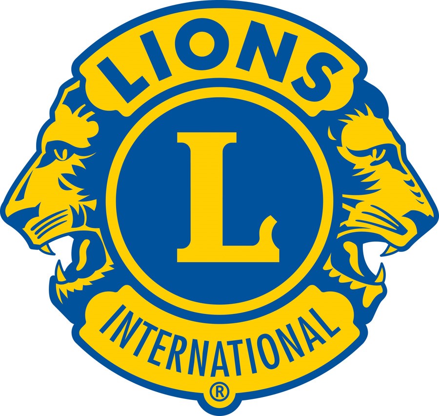 LI Logo